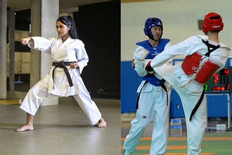 Karate vs taekwondo. Things To Know About Karate vs taekwondo. 